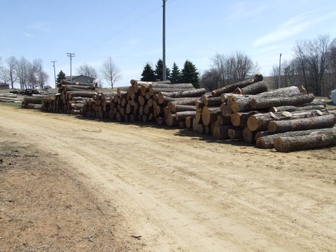 log piles waiting to be milled